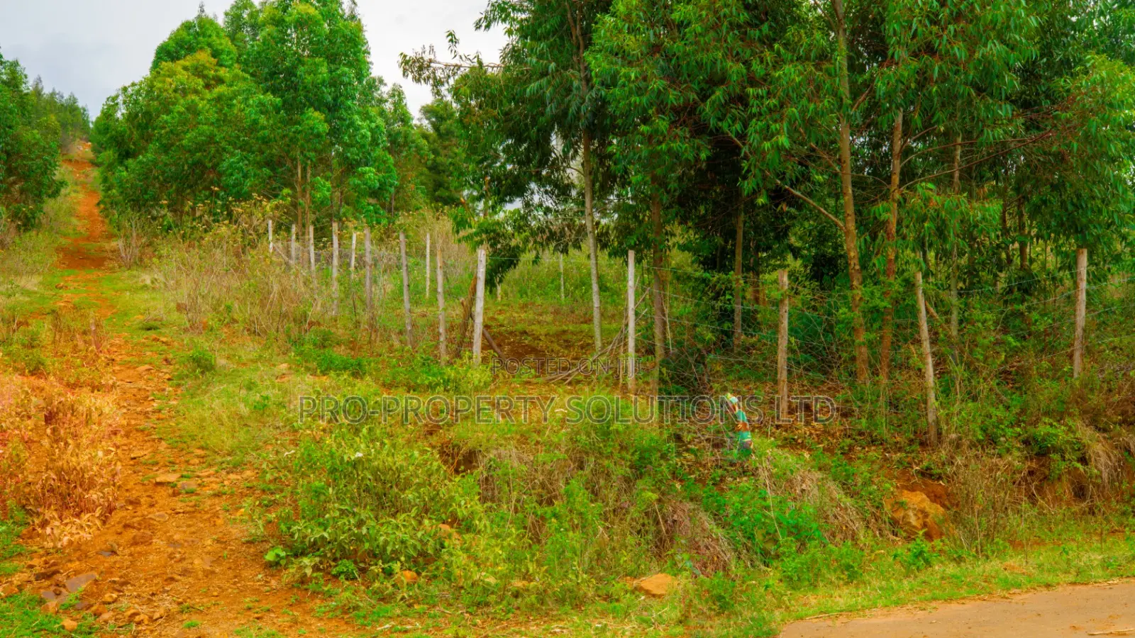 Residential Serviced Plots for Sale in Kikuyu, Nguirubi - Thigio