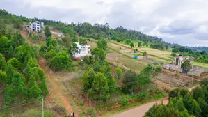 Residential Serviced Plots for Sale in Kikuyu, Nguirubi - Thigio