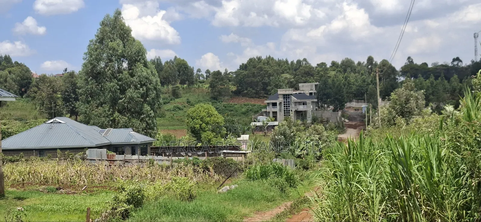 50x100 Available Plot for Sale in Gikambura