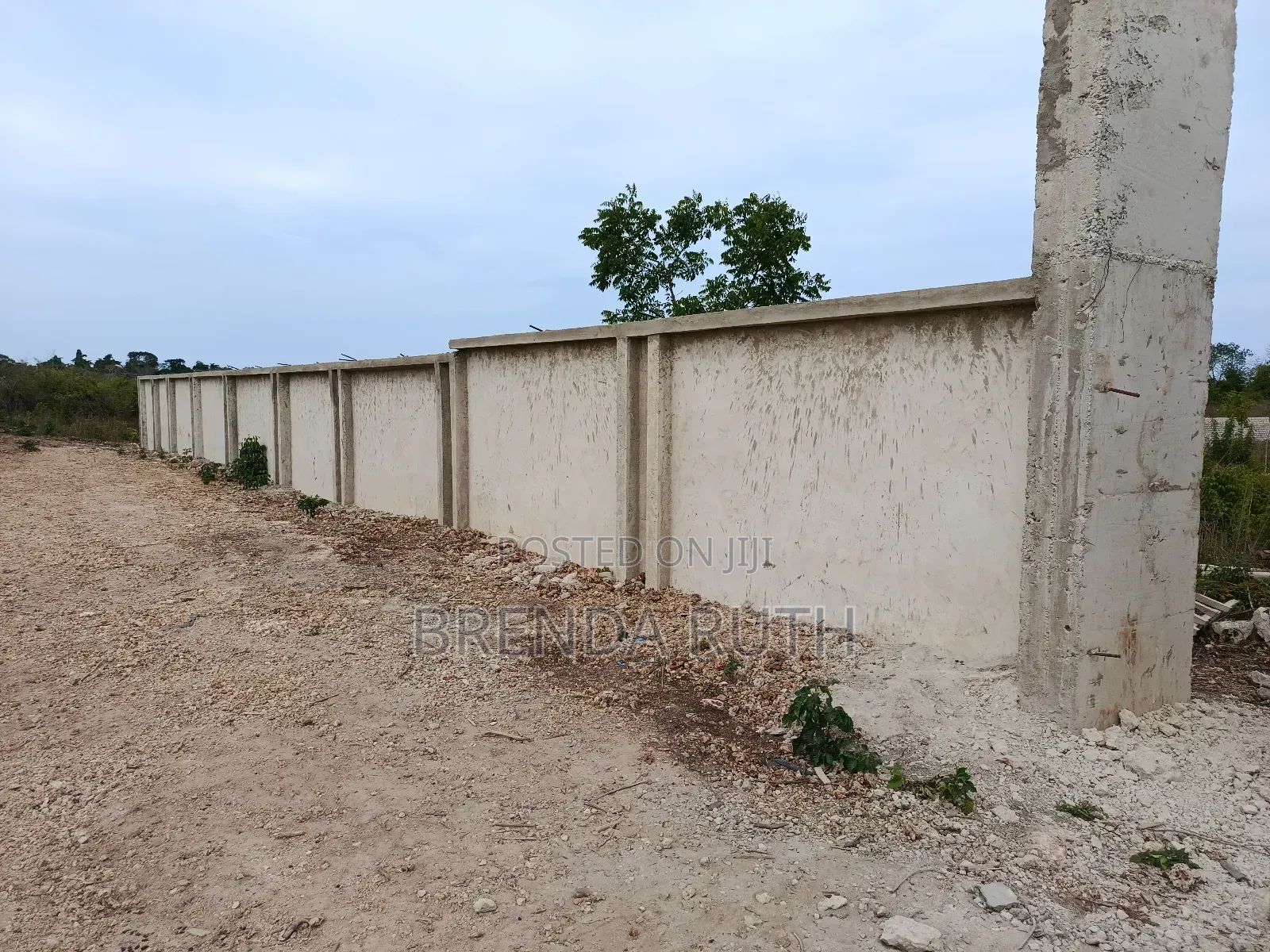 1/4 Acre Prime Property in Diani