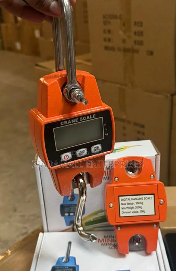 Digital Crane Scale High-Precision 300kg Electronic Crane Weighing