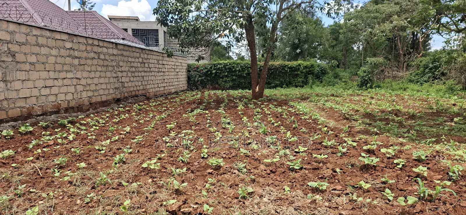 100x100 Available Residential Plot for Sale in Rose Gate