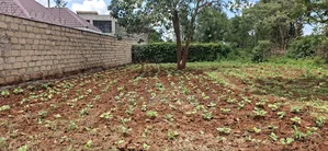 100x100 Available Residential Plot for Sale in Rose Gate