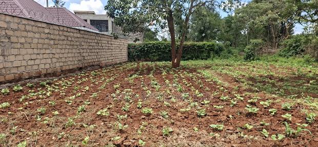 100x100 Available Residential Plot for Sale in Rose Gate - main view