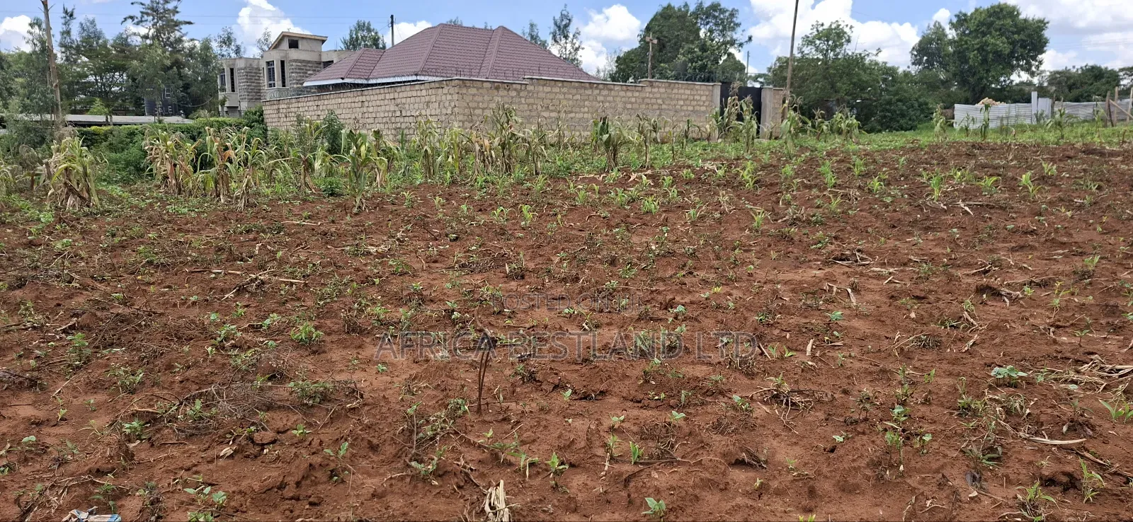 100x100 Available Residential Plot for Sale in Rose Gate