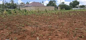 100x100 Available Residential Plot for Sale in Rose Gate