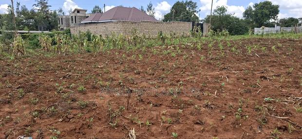 100x100 Available Residential Plot for Sale in Rose Gate - thumbnail 3