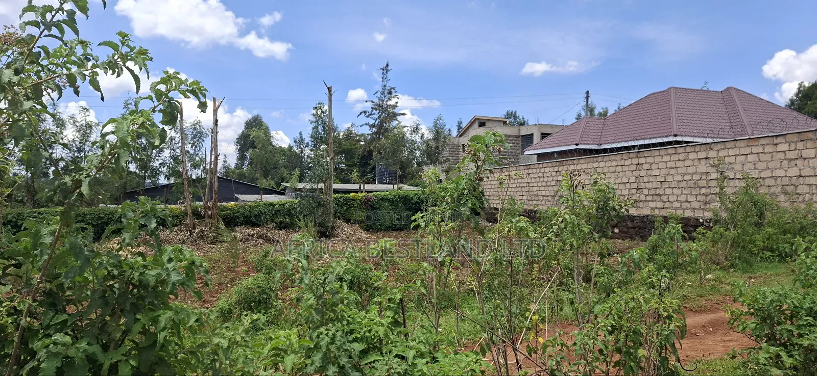100x100 Available Residential Plot for Sale in Rose Gate