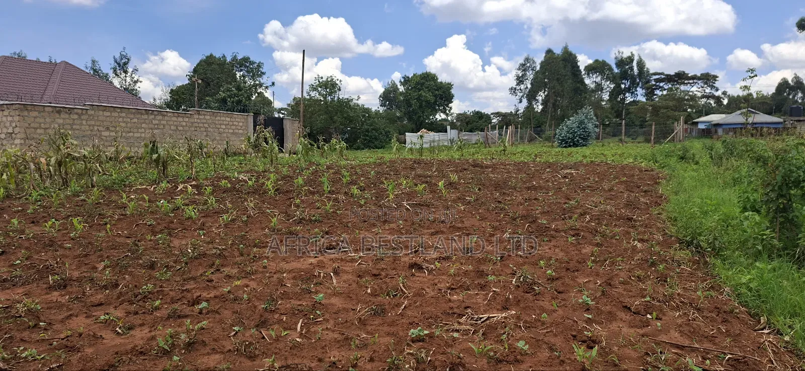 100x100 Available Residential Plot for Sale in Rose Gate