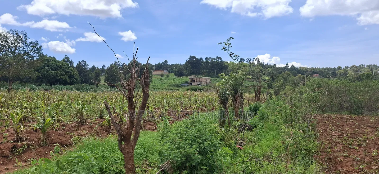 100x100 Available Residential Plot for Sale in Rose Gate