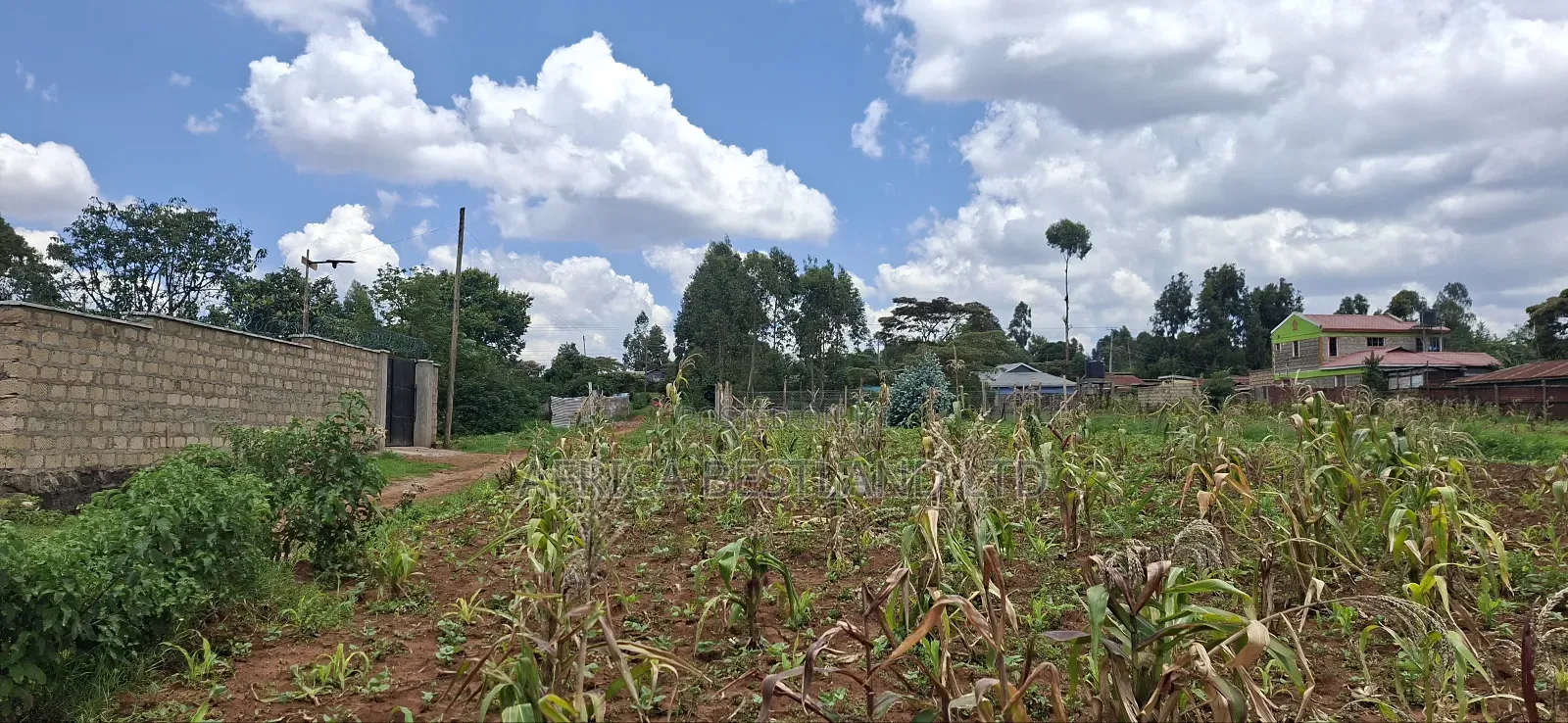 100x100 Available Residential Plot for Sale in Rose Gate