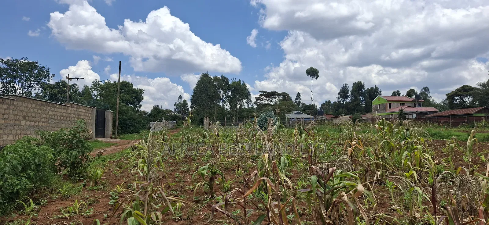 100x100 Available Residential Plot for Sale in Rose Gate