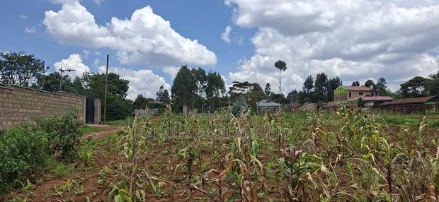 100x100 Available Residential Plot for Sale in Rose Gate - thumbnail 9