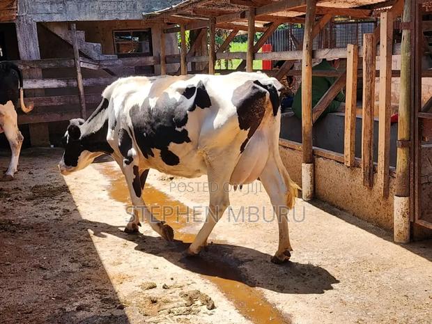 Super Milk Magnet - main view