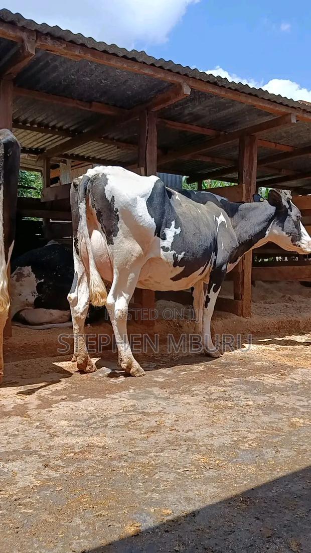 Super Milk Magnet - thumbnail 3