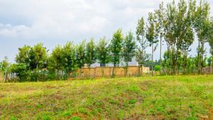 Prime Residential Plot for Sale in Kikuyu, Migumoini - thumbnail 2
