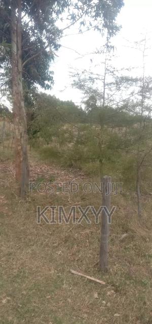 Plot for Sale - thumbnail 2