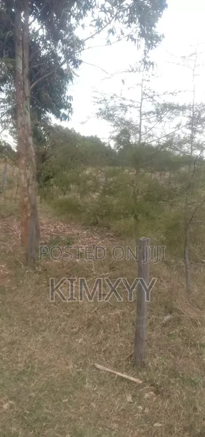 Plot for Sale