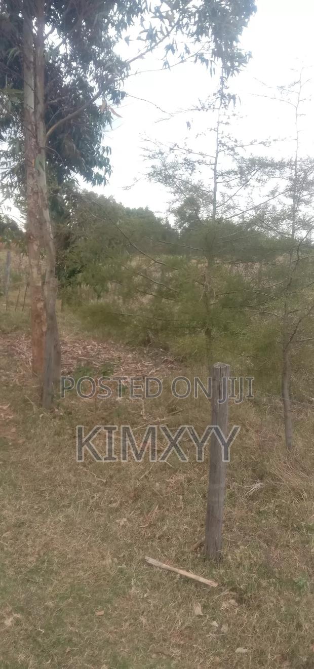 Plot for Sale - main view