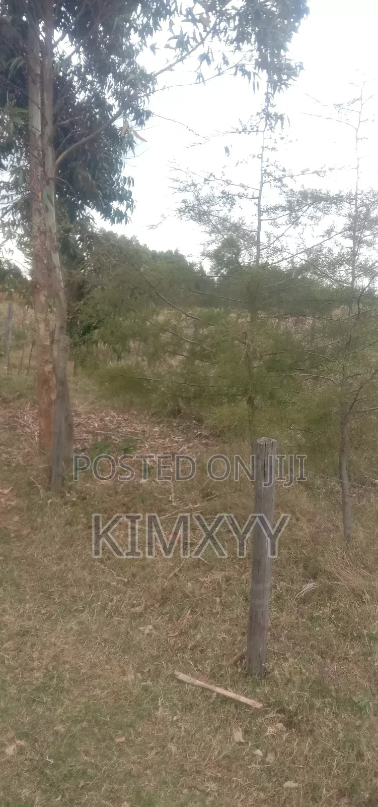Plot for Sale