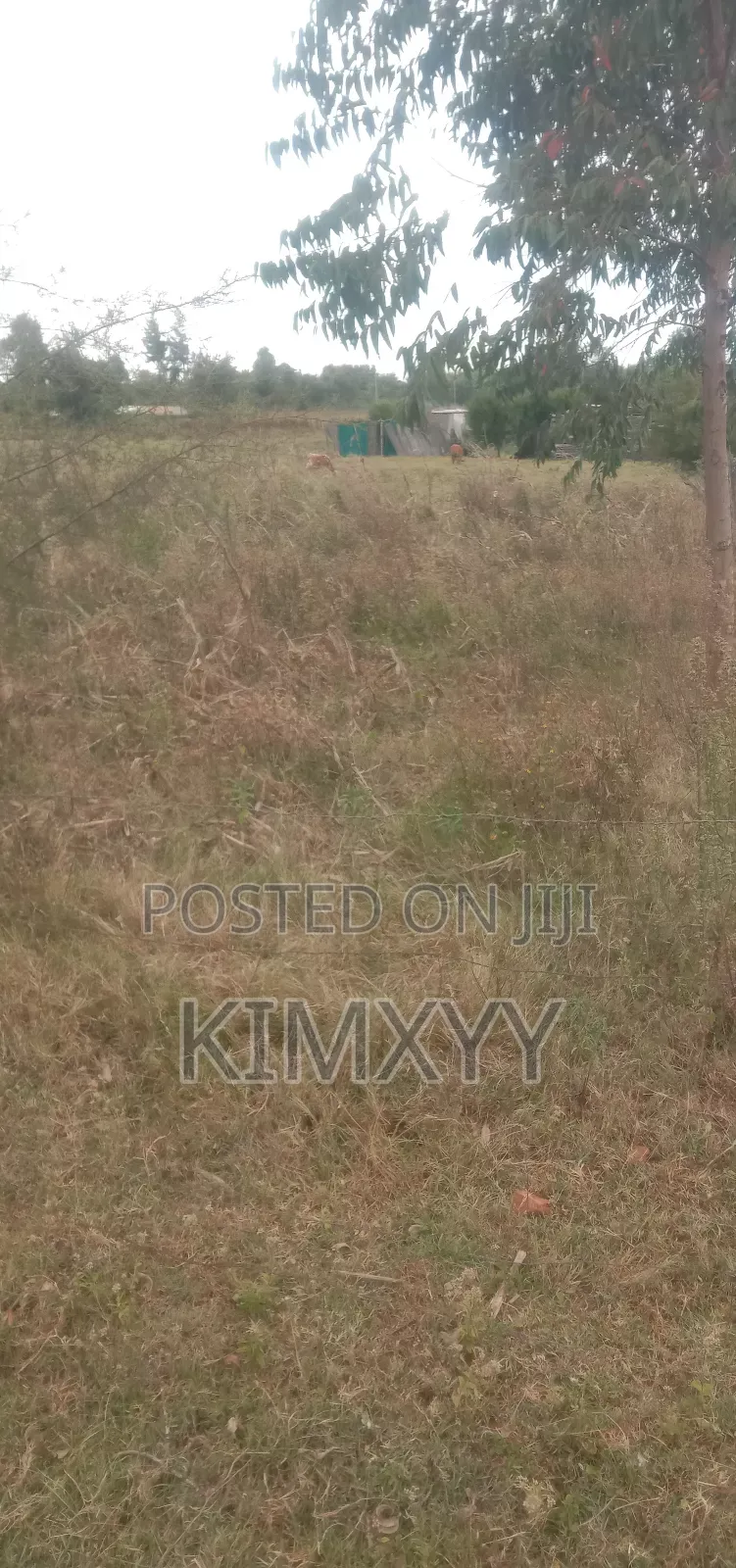 Plot for Sale