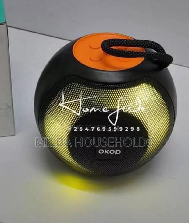 Wireless Portable Speaker//Audio System Now Available