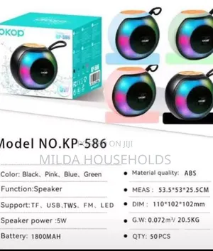 Wireless Portable Speaker//Audio System Now Available