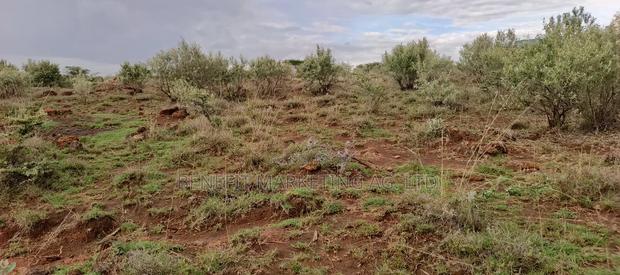 1⁄8 Acre Plot for Sale in Ngong Kimuka Maroroi - thumbnail 2