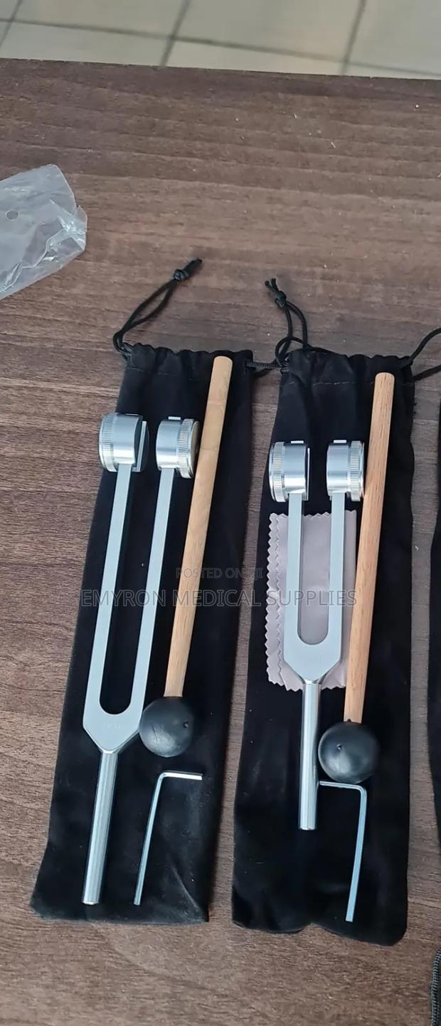 Tuning Fork 512hz and 256 Hz - main view