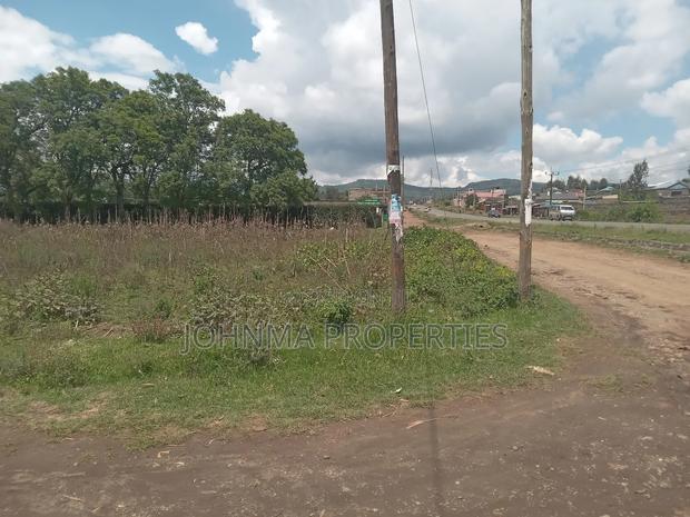 Plot 100×100 - main view