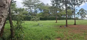 3 Quarters Land for Sale in Kikuyu Lusigetti