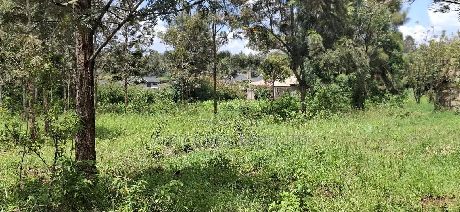3 Quarters Land for Sale in Kikuyu Lusigetti