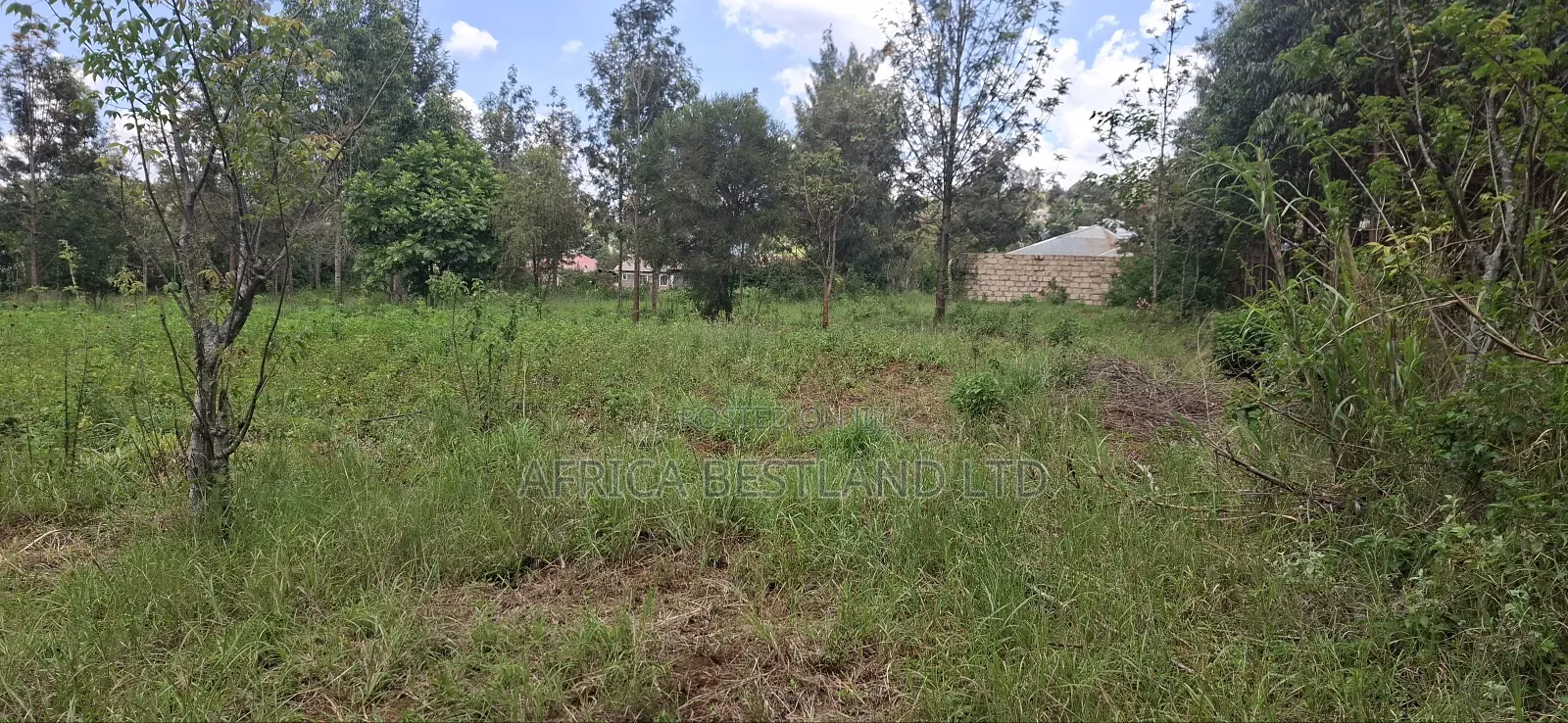 3 Quarters Land for Sale in Kikuyu Lusigetti