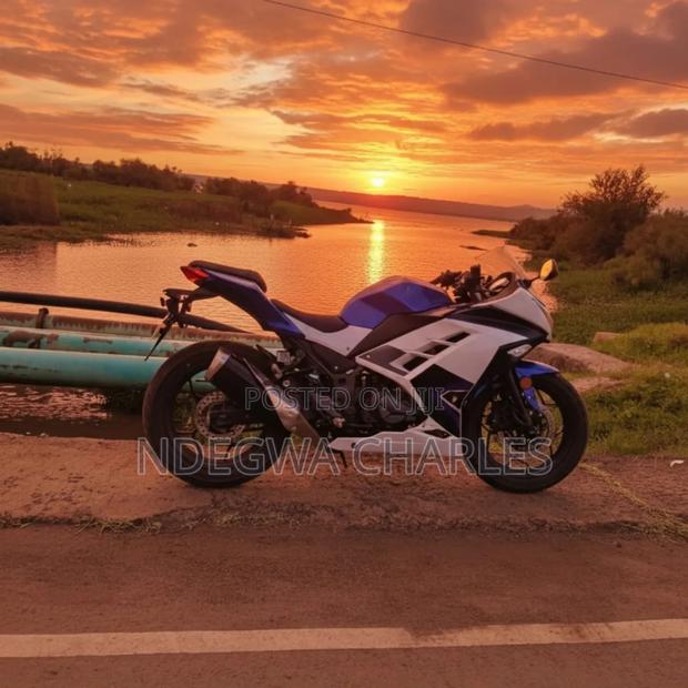 Jincheng 2021 Blue - thumbnail 3