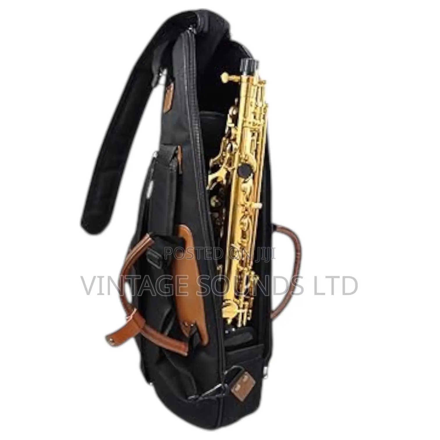 Eastman Soundman Alto Saxophone Gigbag