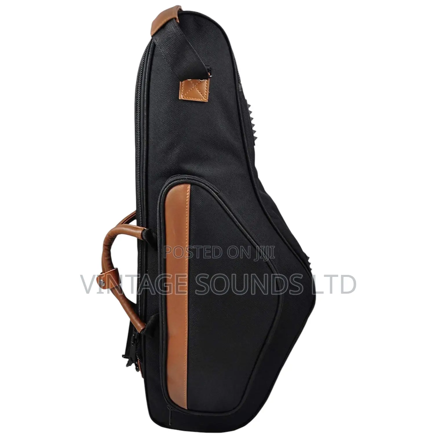 Eastman Soundman Alto Saxophone Gigbag
