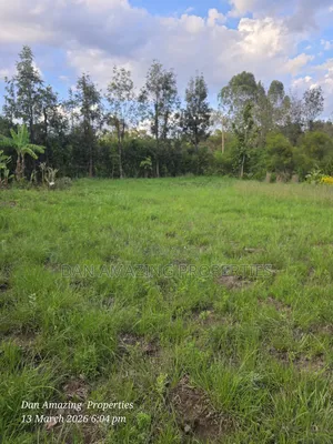 1/4 Acre for Sale Fully Fenced and Trees Planted Ideal for Residential