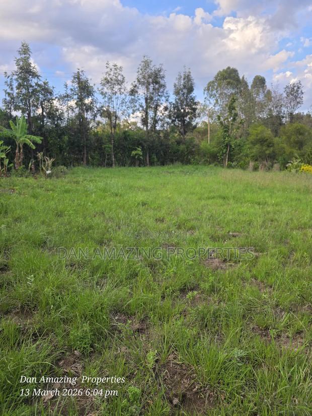1/4 Acre for Sale Fully Fenced and Trees Planted Ideal for Residential