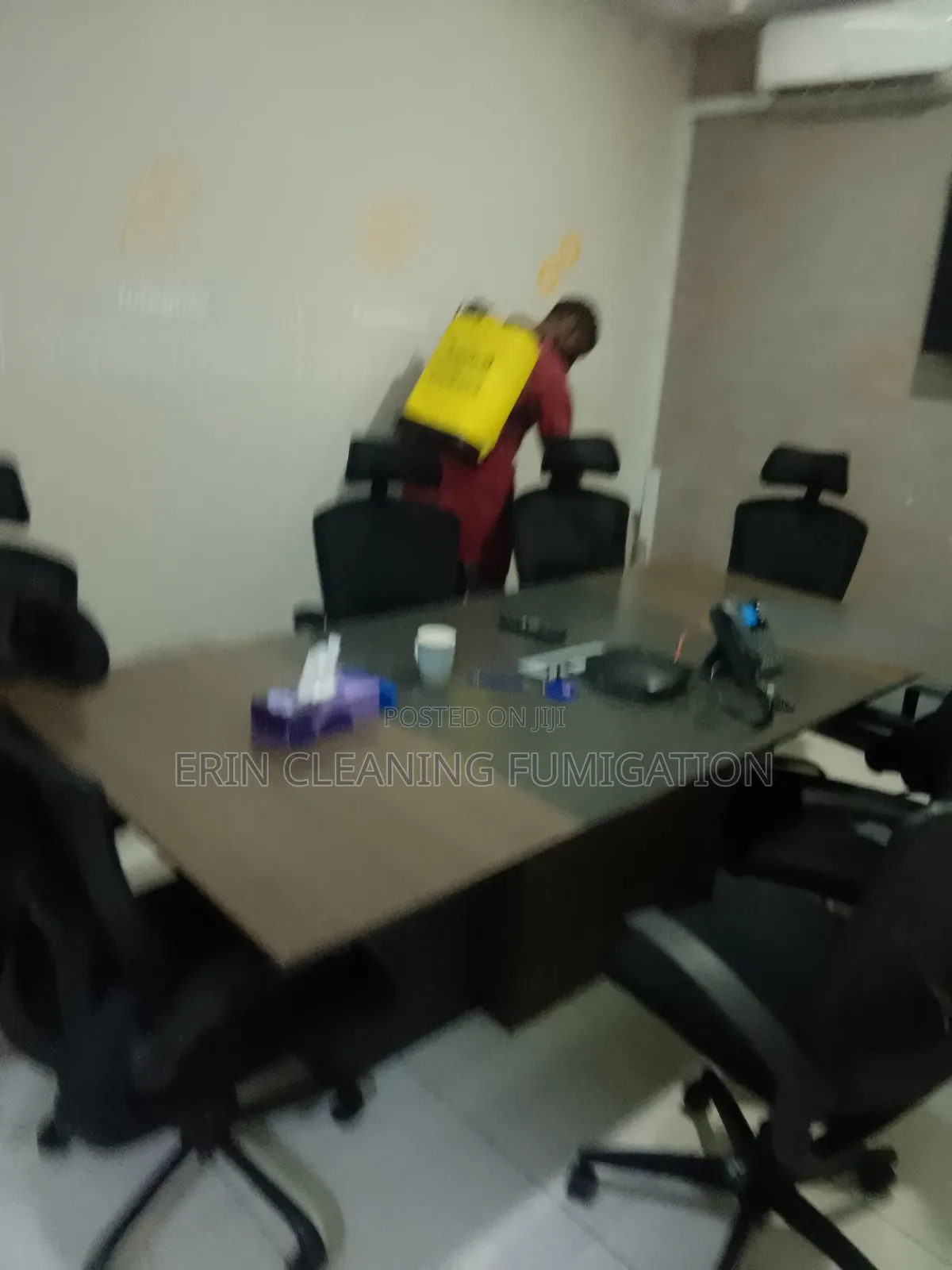 Bedbug Effects in Nairobi