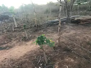25 Acres Farmland in Baricho, Malindi