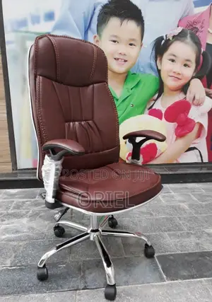 Office Chair: Ergonomic Lumbar Support Office Chair