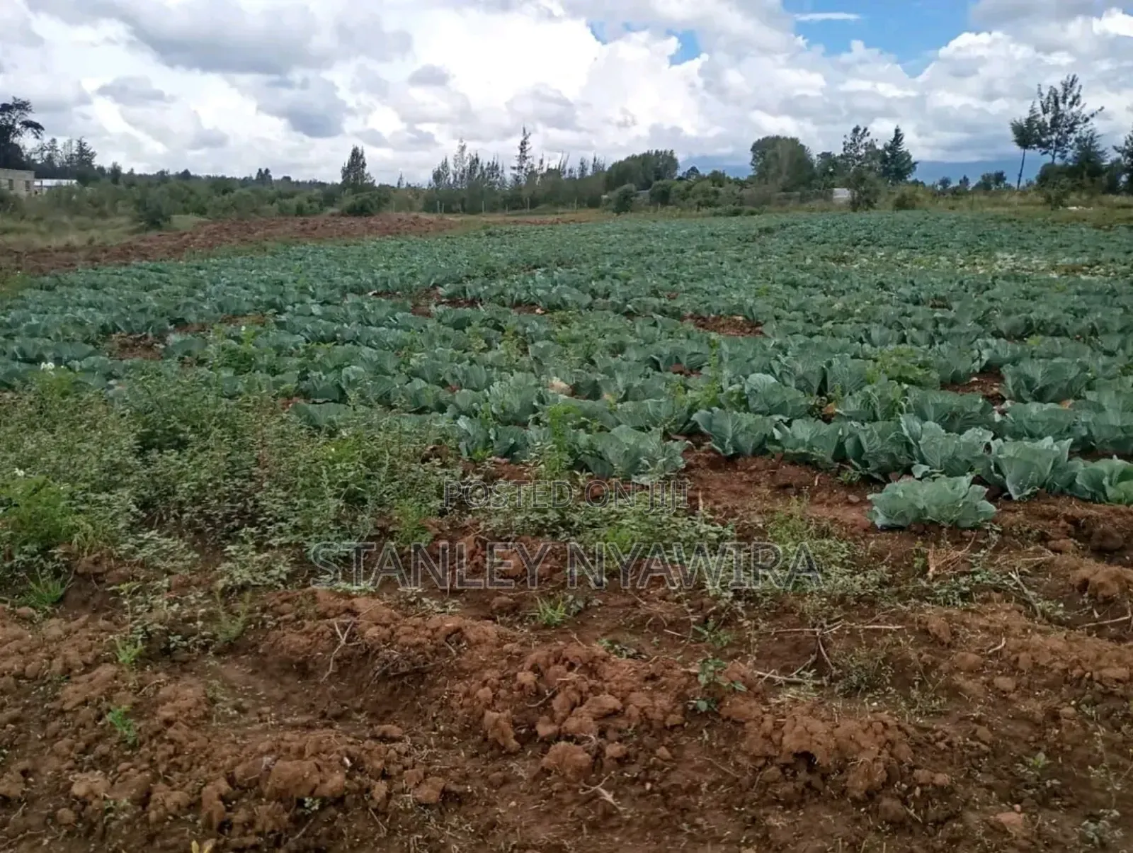 Two Acreas Fronting River Nanyuki For Sale