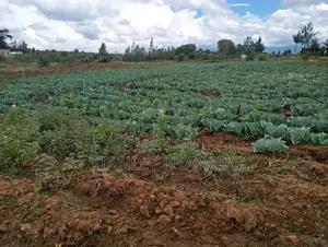Two Acreas Fronting River Nanyuki For Sale
