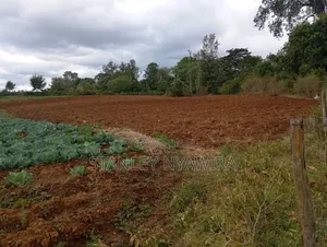 Two Acreas Fronting River Nanyuki For Sale