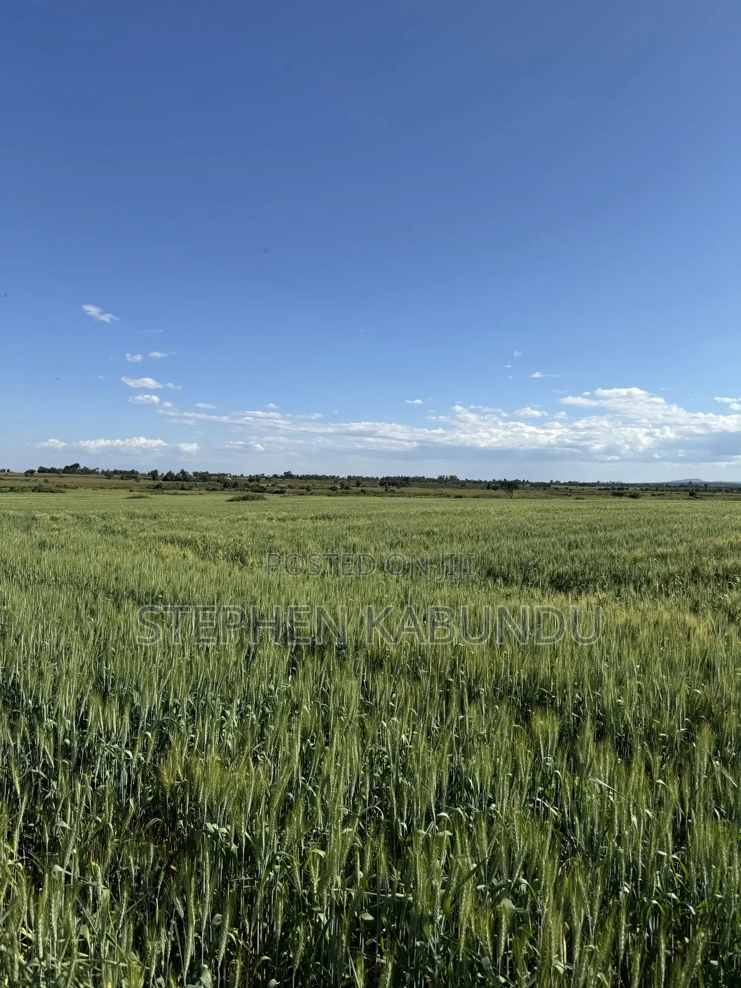 Farm Land for Sale in Laikipia With a River Front