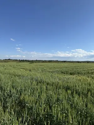 Farm Land for Sale in Laikipia With a River Front