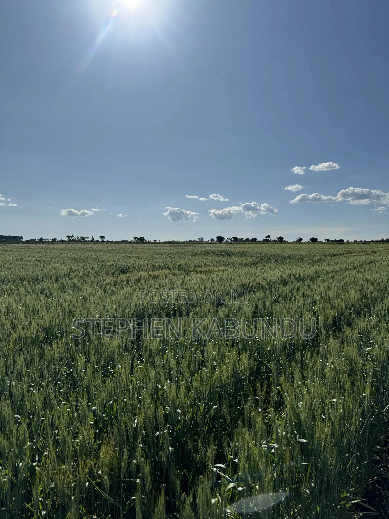 Farm Land for Sale in Laikipia With a River Front