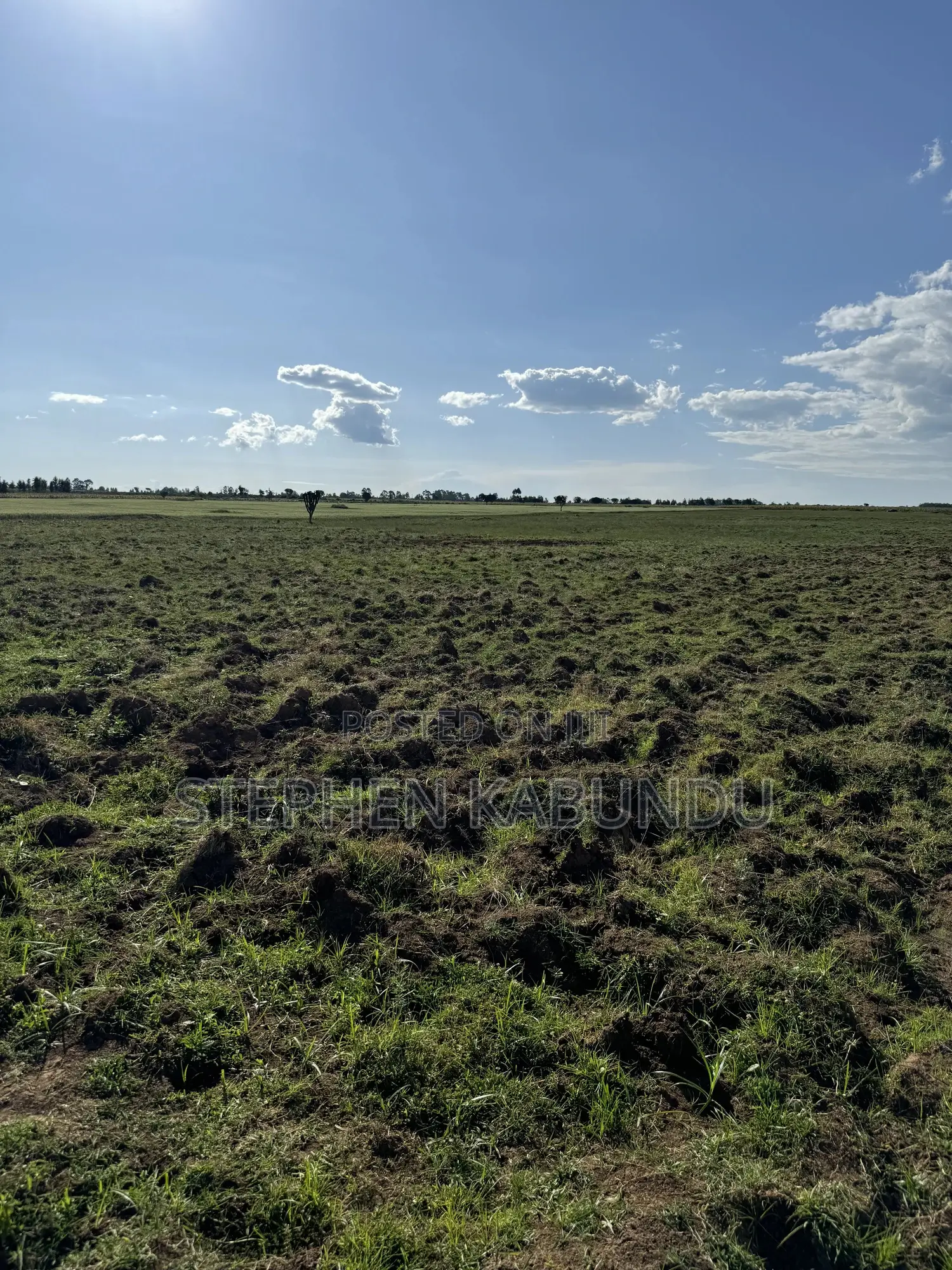 Farm Land for Sale in Laikipia With a River Front