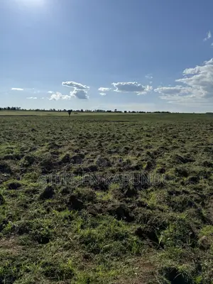 Farm Land for Sale in Laikipia With a River Front