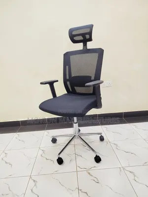 Orthopaedic Executive Office Chair